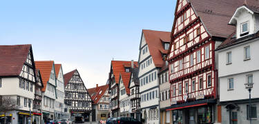 Leonberg ist eine der ältesten Städte in Baden-Württemberg, und ein Besuch des herrlichen Schlosses ist ein Muss.