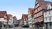 Leonberg ist eine der ältesten Städte in Baden-Württemberg, und ein Besuch des herrlichen Schlosses ist ein Muss.