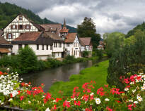 Verbringen Sie einen oder zwei Tage mit einer Autotour durch den idyllischen Schwarzwald und besuchen Sie die zahlreichen hübschen Dörfer.