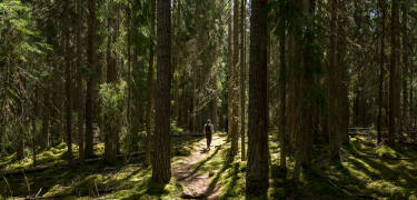 Der Service des professionellen Personals und die Annehmlichkeiten wie ein großer Fitnessraum, ein Spielzimmer für Kinder, Billard und andere Spiele sorgen dafür, dass Ihr Aufenthalt unvergesslich wird.