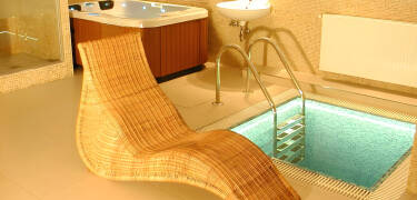 The hotel has a small wellness area with a sauna, hot tub and outdoor pool. Relax after a long day in Prague.