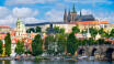 Prag bietet eine Fülle von Sehenswürdigkeiten an; Machen Sie einen Spaziergang über die Karlsbrücke, besuchen Sie Kafkas Haus und erleben Sie die Burg und die beeindruckende Kathedrale.