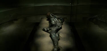 At Moesgaard Museum you can discover Denmark's authentic past through their exciting exhibitions and large collection.