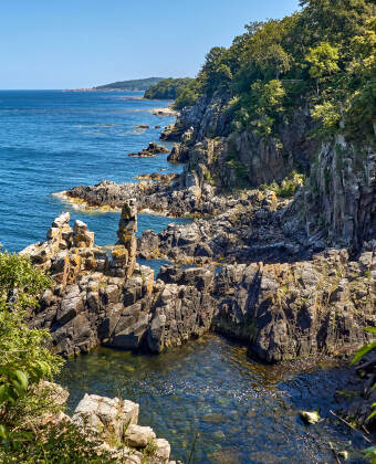 See the Helligdomsklipperne, more than 1.700 million years old, where the Bornholm cave spider lives.
