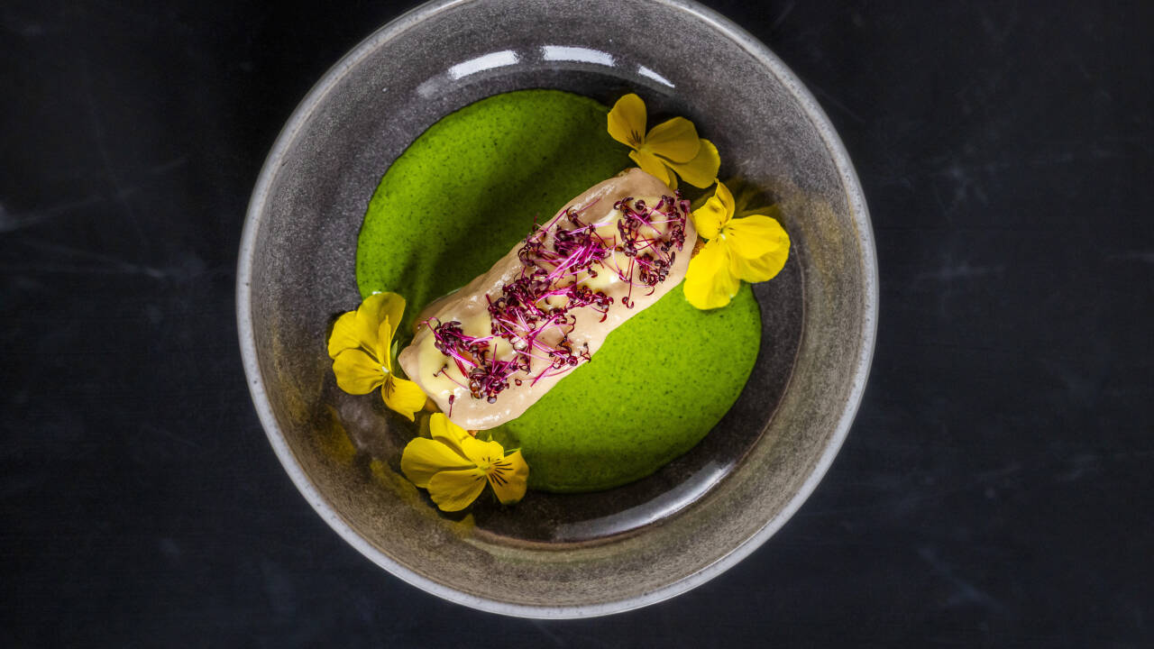 Im Agersø Kro erleben Gäste raffinierte Gastronomie, bei der jedes Gericht mit Sorgfalt und Leidenschaft zubereitet wird.