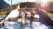 Tauern Spa Zell am See in Kaprun is one of the most modern spas in the Alps, where you can relax and enjoy yourself.