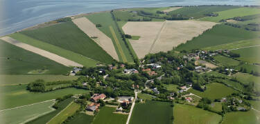 Femø er en lille perle nord for Lolland, hvor der emmer af hygge og ro.