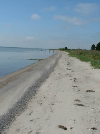 Besök Femø Havn Strand, som ligger bredvid hamnen om ni vill ta ett dopp!