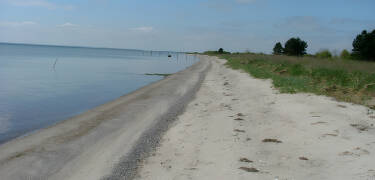 Der er ikke langt ned til stranden, hvor dere kan gå tur i sanden og ta en forfriskende dukkert i havet.