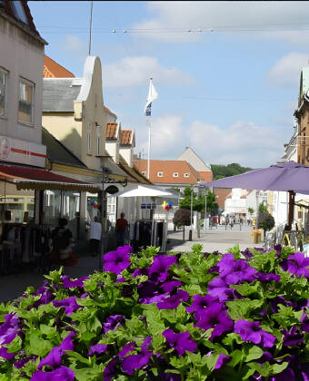 You take the ferry to Femø from Lolland, so why not also make a stop in the trading town of Maribo.