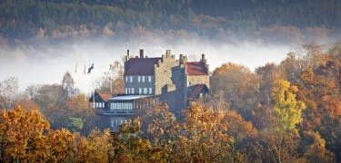 Hotell Gyllene Uttern
