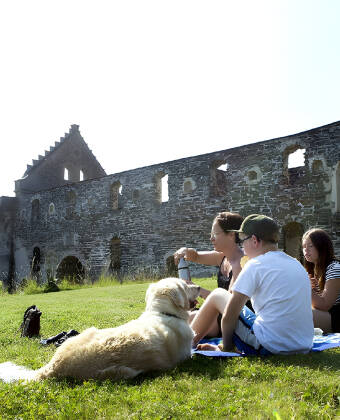Tag færgen fra Gränna, og få en hyggelig stund på den lille ø, som har flere flotte go grønne områder.