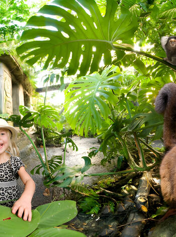 Add an exotic touch to your holiday with a visit to the Randers Rainforest - a 15-minute drive from the hotel.
