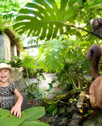 Giv jeres ferie et eksotisk præg med et besøg i Randers Regnskov – tre kvarters kørsel fra hotellet.
