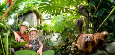 Giv jeres ferie et eksotisk præg med et besøg i Randers Regnskov – tre kvarters kørsel fra hotellet.