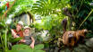 Ge semestern en exotisk prägel med ett besök i Randers regnskog som ligger endast 45 minuters bilresa från hotelllet.
