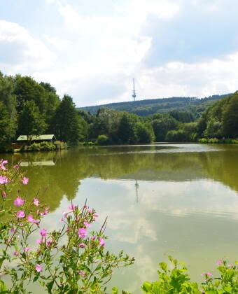 Recharge your batteries by hiking or cycling in the unique natural landscape of the Teutoburg Forest.