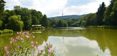 Tanken Sie Energie bei Wanderungen oder beim Radfahren in der einzigartigen Naturlandschaft des Teutoburger Waldes.