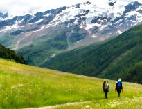 There are no less than 1000 km of marked hiking trails in the area, so you can experience nature up close