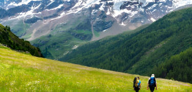 In der Umgebung gibt es bis zu 1000 km Wanderwege. Erleben Sie alles, was die Natur zu bieten hat