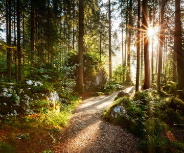 På Hankø väntar vacker natur och ett rikt djurliv.