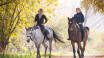 The hotel offers an extensive horse riding experience, complete with professional riding lessons, carriage rides, and pony rides for enthusiasts of all levels.