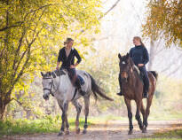 The hotel offers an extensive horse riding experience, complete with professional riding lessons, carriage rides, and pony rides for enthusiasts of all levels.