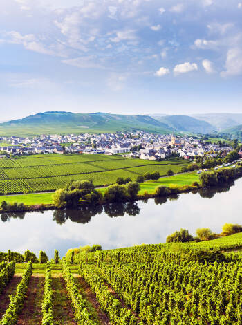 Genießen Sie einen fantastischen Urlaub direkt an der Mosel und lassen Sie sich von der Schönheit des Modeltals verzaubern.