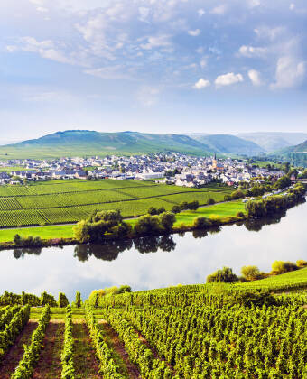 Let yourself be enchanted by the beauty of the Moselle valley and experience a fantastic holiday directly on the Moselle river.