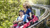 Der Wild- und Freizeitpark Klotten / Cochem bietet Spaß und Erholung für die ganze Familie.