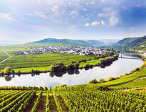 Let yourself be enchanted by the beauty of the Moselle valley and experience a fantastic holiday directly on the Moselle river.