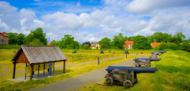 Rund um die Stadt gibt es viele fantastische Naturgebiete, die nur darauf warten, besucht zu werden.