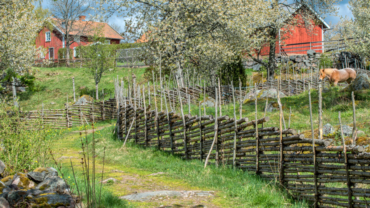 Naturen i Småland er kjent for sine vakre og uberørte områder.