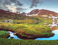 Go hiking in Norway's largest national park, Hardangervidda.
