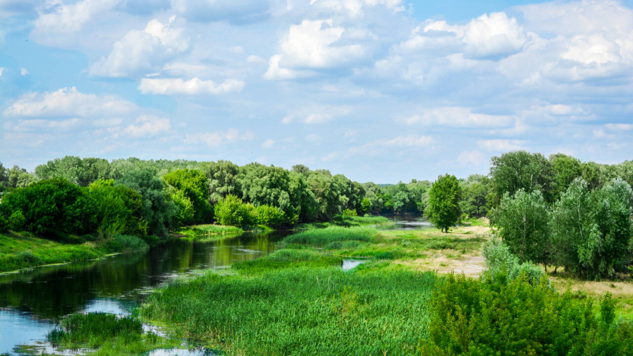 Die Düebener Heide, eine Flusslandschaft zwischen Elbe und Mulde, ist ein Geheimtipp unter den Naturparadiesen in Deutschland.