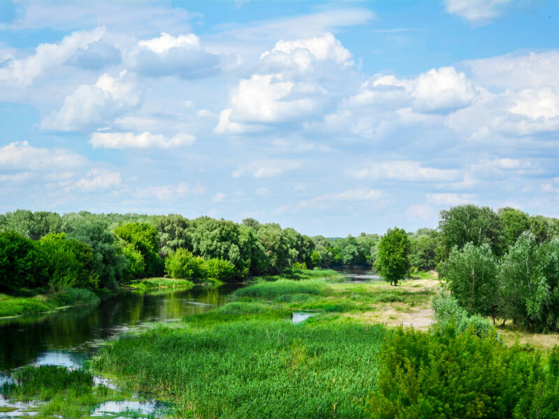 Düebener Heide, et flodlandskab mellem floderne Elbe og Mulde, er et insider-tip blandt Tysklands naturparadiser.