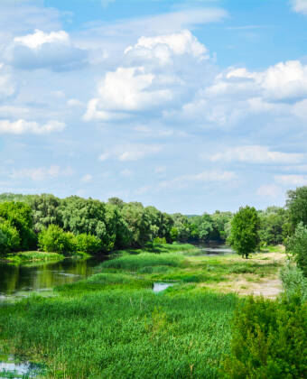 Düebener Heide, ett flodlandskap mellan floderna Elbe och Mulde, är ett insidertips bland Tysklands naturparadis.
