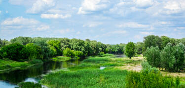 Die Düebener Heide, eine Flusslandschaft zwischen Elbe und Mulde, ist ein Geheimtipp unter den Naturparadiesen in Deutschland.