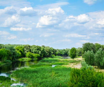 Die Düebener Heide, eine Flusslandschaft zwischen Elbe und Mulde, ist ein Geheimtipp unter den Naturparadiesen in Deutschland.