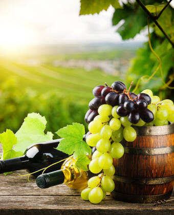 There are several wineries around Lake Garda, so why not buy some bottles of local wine to take home from your holiday?