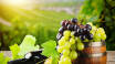 Området kring Gardasjön präglas även av vingårdar, så här finns goda möjligheter att testa lokalt vin.