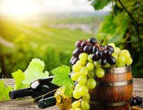 Området kring Gardasjön präglas även av vingårdar, så här finns goda möjligheter att testa lokalt vin.