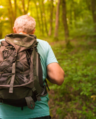 Hotellet ligger i uberørt natur, perfekt til vandreture og til at nyde landskabet i Kärnten.