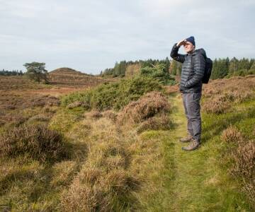 Er de yngste med på ferien, kan dere ta en tur til Baboon City i Herning, som har moro for barn i alle aldre.