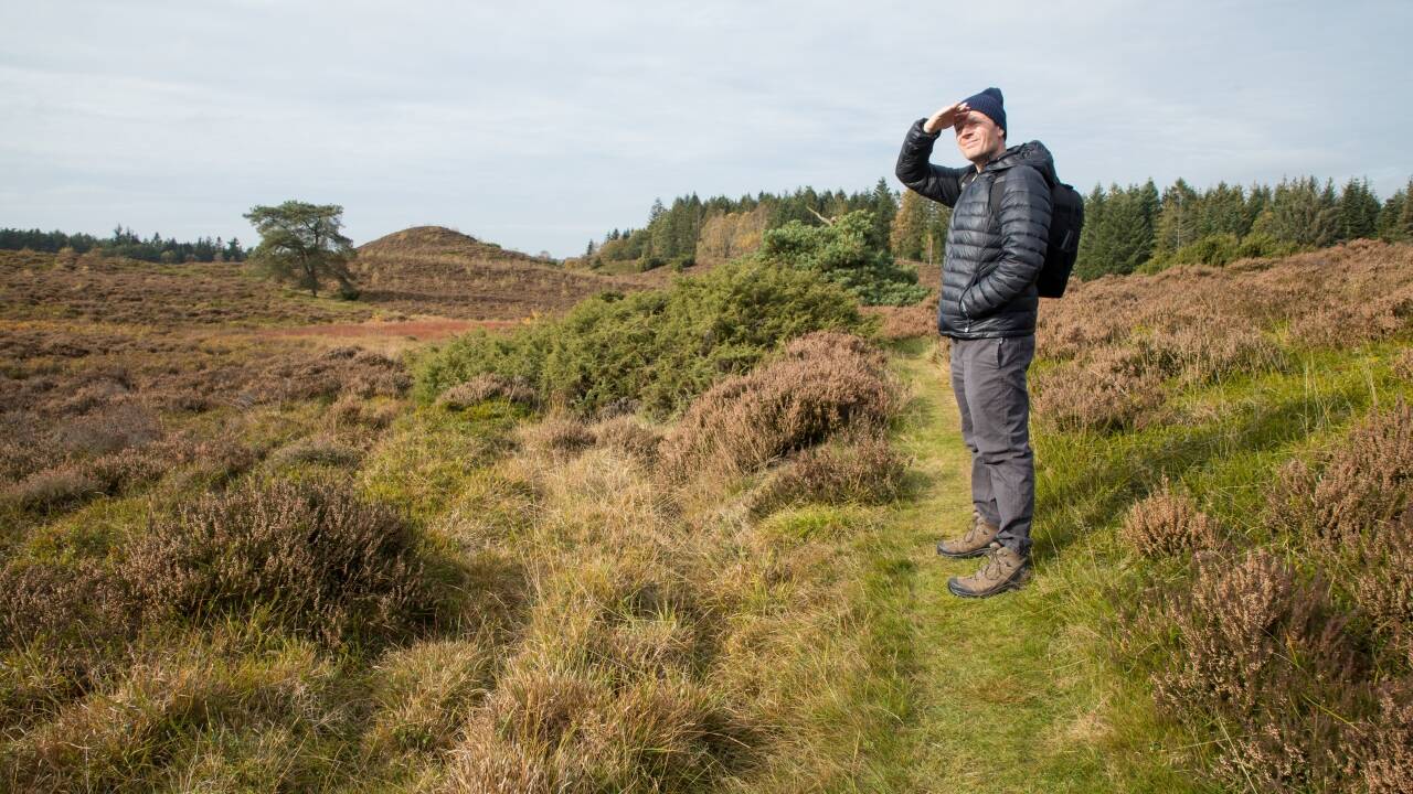 Die nahegelegene Husby Klitplantage ist ein wunderschönes Naturgebiet, ideal zum Wandern und Radfahren.