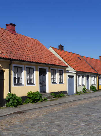 Om sommeren kan dere spise i hotellets herlige hage under det enorme grønne treet.