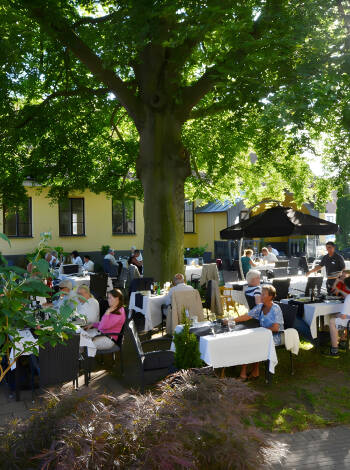 Under sommaren kan ni äta i den fina hotellträdgården under det enorma lummiga trädet.