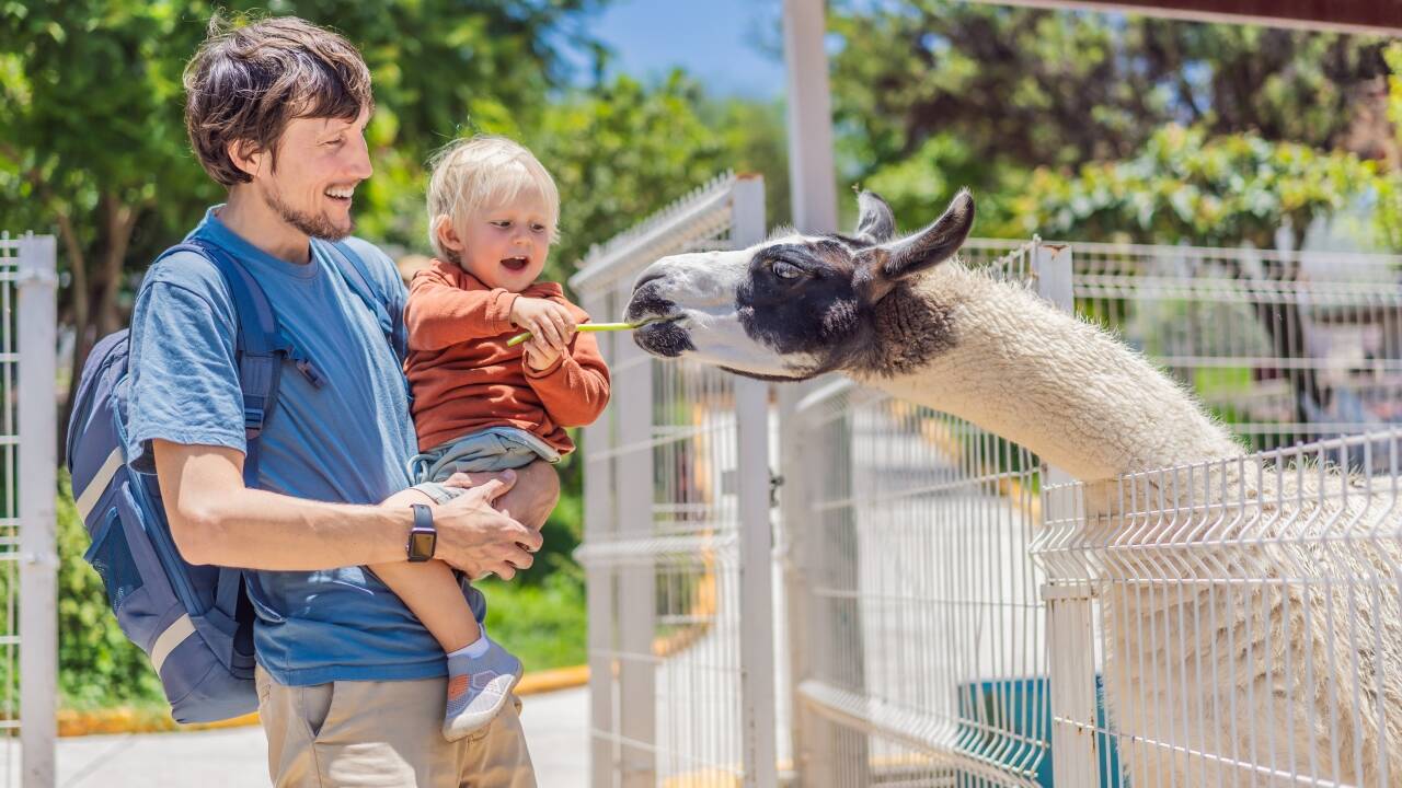 Plan a fun-filled day at Dyreparken, Kristiansand’s iconic zoo and one of the region’s most popular attractions.