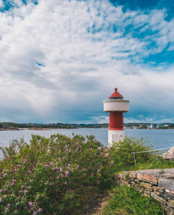 Follow scenic coastal paths to Odderøya and discover panoramic viewpoints, nature and fascinating cultural venues.