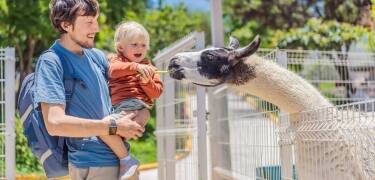 Plan a fun-filled day at Dyreparken, Kristiansand’s iconic zoo and one of the region’s most popular attractions.